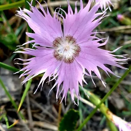 Alloggi Buon Riposo 3* 타르비시오