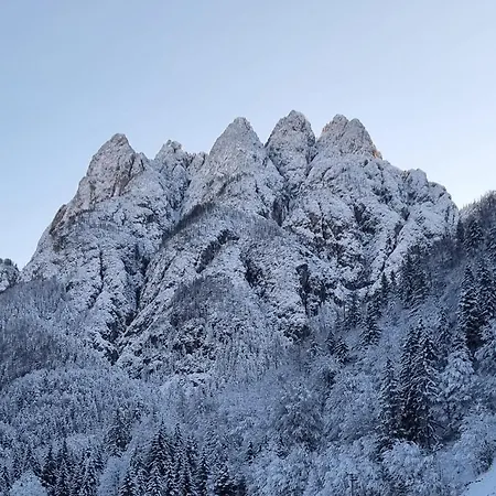 Alloggi Buon Riposo 게스트하우스 타르비시오