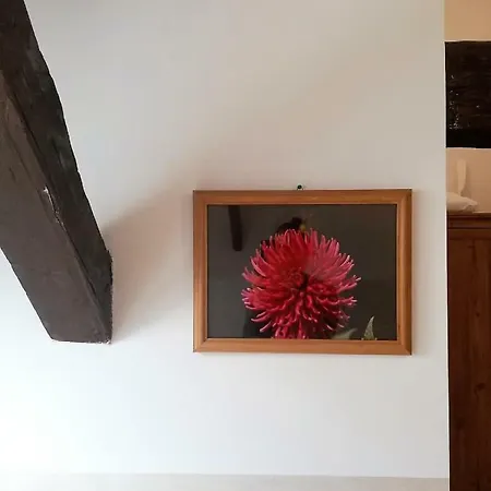 Casa de hóspedes Alloggi Buon Riposo