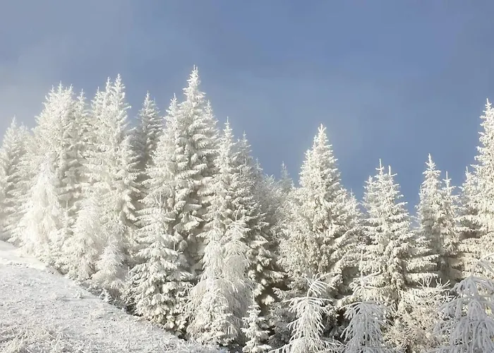 Buon Riposo 3* Tarvisio