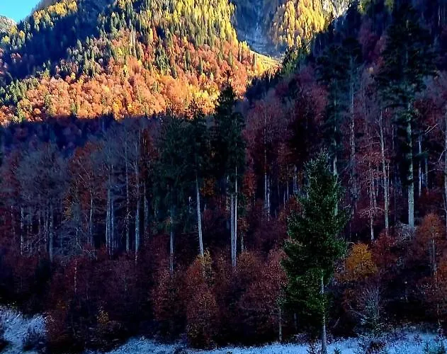 Affittacamere Buon Riposo Tarvisio