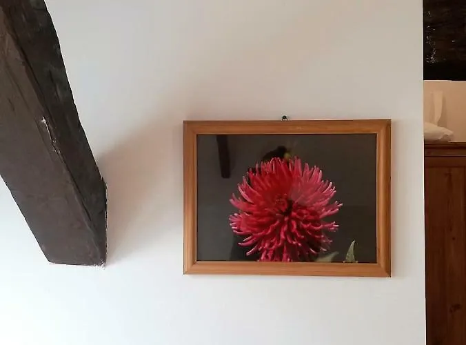 Affittacamere Buon Riposo